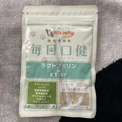 withpety 毎日口健 ラクトフェリン&KT-11 犬猫用のサムネイル