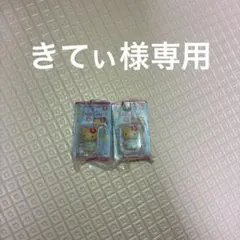 きてぃ様　専用