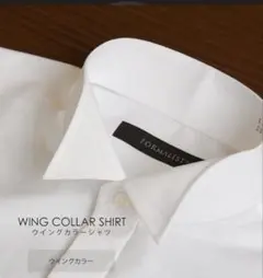 結婚式　ウイングカラーシャツ 白