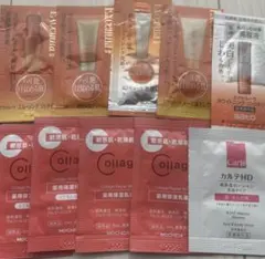 エクセルーラ・コラージュリペア・カルテHDサンプル