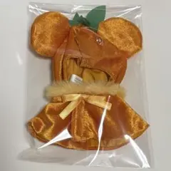 ディズニーストア シークレットポンチョ オレンジ みかん