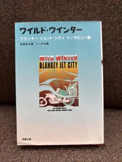 2026年最新】blankey jet city wild winterの人気アイテム - メルカリ