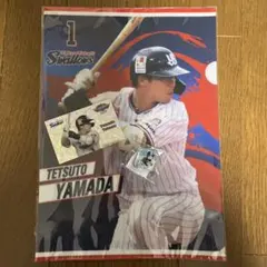 Item thumbnail for item 855287cd-5fe3-4c76-bf2b-ee288c9516c6