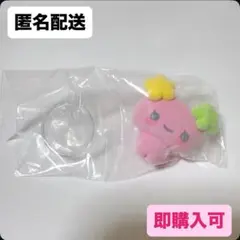 カプセルフロッキーズたまごっち/ふらわっち