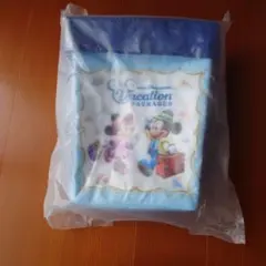 ディズニーバケーションパッケージポップコーンバケット