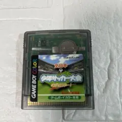 ゲームボーイカラー専用　全日本少年サッカー大会めざせ日本一！