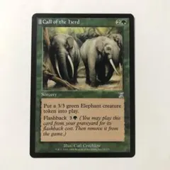 MTG 獣群の呼び声 オデッセイ 日本語版 2枚セット - メルカリ