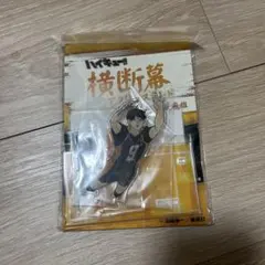 ハイキュー　影山　横断幕