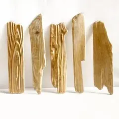 Item thumbnail for item a2c390ce-87f8-4c6f-a1c5-2b14ea171e29