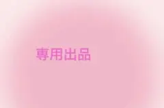 専用出品