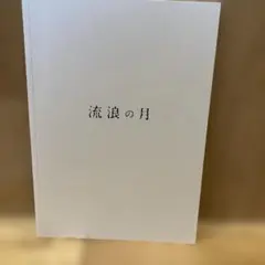 映画　流浪の月 パンフレット