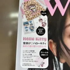 ハローキティ レオパード柄 4点セット