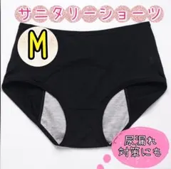 【新品未使用】サニタリーショーツ ブラック 2枚セット