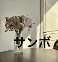 2枚 サンボのサムネイル