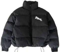 Steal meaningダウンジャケット