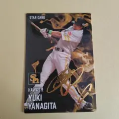 プロ野球チップス2025 柳田悠岐