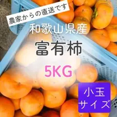和歌山県産　富有柿　5キロ　訳あり　ご家庭用 甘柿