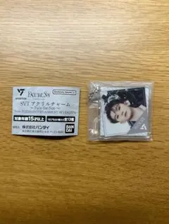 ウジ WOOZI seventeenアクリルチャーム svt ガチャ