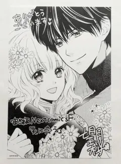 アニメイト特典 イラストペーパー 天に恋う 14巻特典 望月桜 宙出版