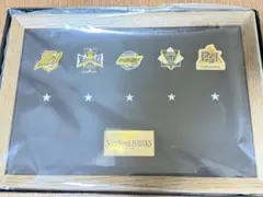 【限定】記念ピンバッジ 2021〜2025ソフトバンクホークス