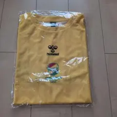 ジェフユナイテッド市原・千葉レディース (非売品　新品未使用)