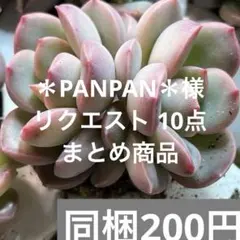 ＊PANPAN＊様 リクエスト 10点 まとめ商品