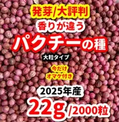 Anna様 リクエスト 2点 まとめ商品