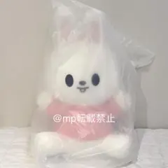 straykids ポップアップ SKZOO HUG ME Ver ジニレット - メルカリ