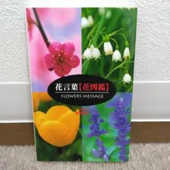 花言葉 花図鑑 夏梅陸夫 大泉書店