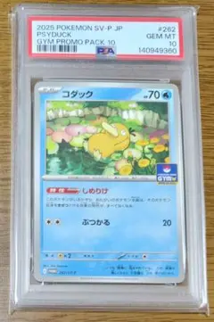【PSA10】コダック ジムプロモ しめりけ 262/SV-P 102