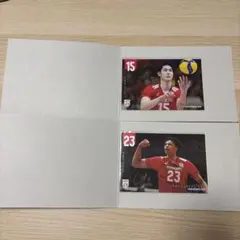 男子バレー 日本代表 ガチャ ポストカード 【甲斐、ラリー】