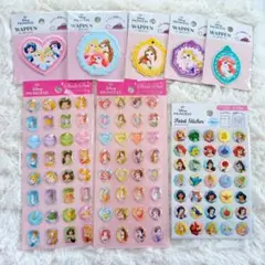 ディズニープリンセス シールワッペン 8セット
