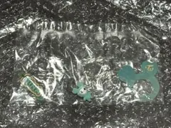 TWICE LOVELYS アクリルカラビナ フロッキーマスコット　ミナ