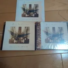 初回限定版　Die In Cries Classique Ave.の飛べない鳩