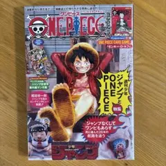 ONEPIECE ワンピースマガジン　20