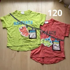 恐竜Tシャツ　120