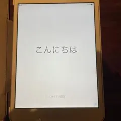 iPad mini 第1世代　wi-fiモデル　16GB
