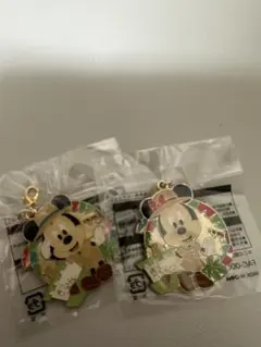 ディズニー　ランド　チャーム　ミッキーミニー