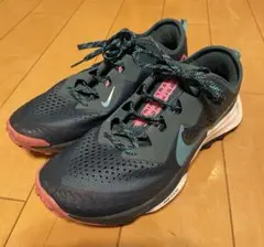 AIR ZOOM TERRA KIGER 7_エアズームテラカイガー 25cm