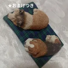 サンディキャスト | Mercari | การซื้อสินค้าผ่านตัวแทนกับ Doorzo