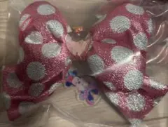 ミニー　ファンダーランド　パルパルーザ　キーチェーン　シークレット