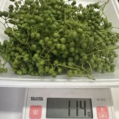 群馬県産 山椒の実300グラム♡ - メルカリ