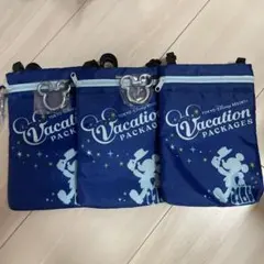 東京ディズニーリゾート バケーションパッケージ ポーチ3個セット