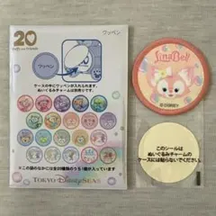【本文必読】カラフルハピネス　ワッペン　リーナベル