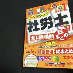 2025年度版 みんなが欲しかった! 社労士全科目横断総まとめ