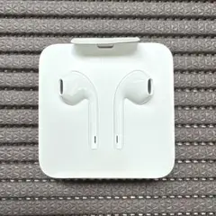 新品未使用 Apple iPhone ライトニングイヤホン 変換アダプタ付 純正