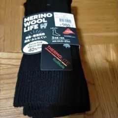 Item thumbnail for item d4bc2737-c782-453f-b52e-0df6b930a1ff