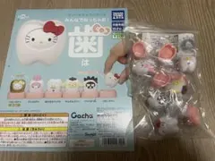 みんなでなっちゃお！歯　サンリオキャラクターズ　全種　全5種　コンプ