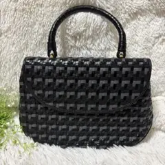 未使用あるかんリザードがま口バック黒 - メルカリ