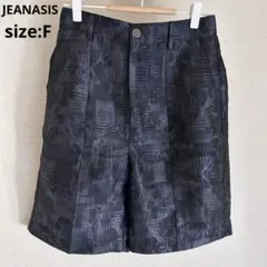 JEANASIS クサキガラジャガードショートパンツ 黒 光沢 総柄 美品　F